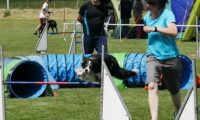 IMG_moosen-10-06-2017-K3Large141