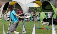 IMG_moosen-10-06-2017-K3Large142