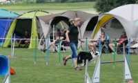 IMG_moosen-10-06-2017-K3Large149