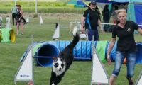 IMG_moosen-10-06-2017-K3Large151