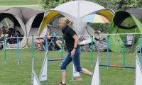 IMG_moosen-10-06-2017-K3Large152