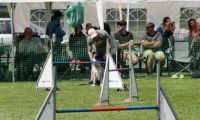 IMG_moosen-10-06-2017-K3Large155