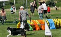 IMG_moosen-10-06-2017-K3Large158