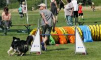 IMG_moosen-10-06-2017-K3Large159