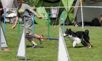 IMG_moosen-10-06-2017-K3Large160
