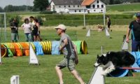 IMG_moosen-10-06-2017-K3Large164