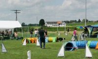 IMG_moosen-10-06-2017-K3Large165