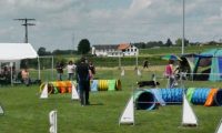 IMG_moosen-10-06-2017-K3Large166