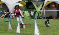 IMG_moosen-10-06-2017-K3Large167