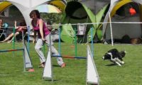 IMG_moosen-10-06-2017-K3Large168