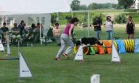 IMG_moosen-10-06-2017-K3Large169