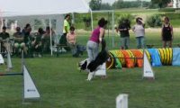 IMG_moosen-10-06-2017-K3Large170
