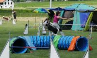 IMG_moosen-10-06-2017-K3Large171