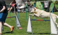 IMG_moosen-10-06-2017-K3Large179