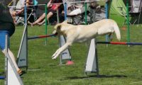 IMG_moosen-10-06-2017-K3Large180