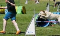 IMG_moosen-10-06-2017-K3Large181