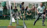 IMG_moosen-10-06-2017-K3Large183