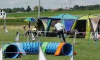 IMG_moosen-10-06-2017-K3Large185