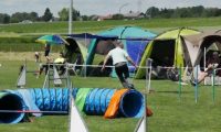 IMG_moosen-10-06-2017-K3Large186