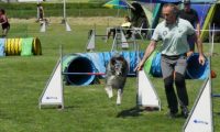 IMG_moosen-10-06-2017-K3Large190