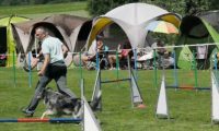 IMG_moosen-10-06-2017-K3Large191