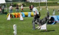 IMG_moosen-10-06-2017-K3Large194