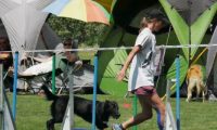 IMG_moosen-10-06-2017-K3Large199