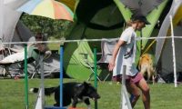 IMG_moosen-10-06-2017-K3Large200