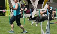 IMG_moosen-10-06-2017-K3Large207