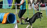 IMG_moosen-10-06-2017-K3Large208