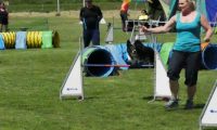 IMG_moosen-10-06-2017-K3Large209