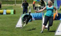 IMG_moosen-10-06-2017-K3Large210