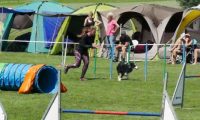 IMG_moosen-10-06-2017-K3Large214