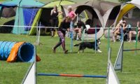 IMG_moosen-10-06-2017-K3Large215