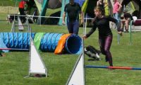 IMG_moosen-10-06-2017-K3Large216
