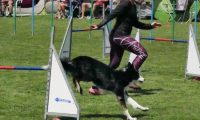 IMG_moosen-10-06-2017-K3Large217