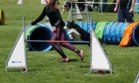 IMG_moosen-10-06-2017-K3Large219