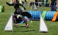IMG_moosen-10-06-2017-K3Large220