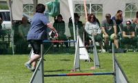 IMG_moosen-10-06-2017-K3Large221