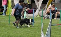 IMG_moosen-10-06-2017-K3Large223