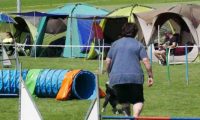 IMG_moosen-10-06-2017-K3Large226