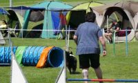 IMG_moosen-10-06-2017-K3Large227