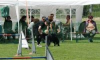 IMG_moosen-10-06-2017-K3Large230