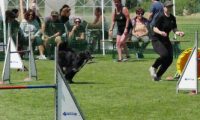 IMG_moosen-10-06-2017-K3Large232