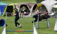 IMG_moosen-10-06-2017-K3Large235