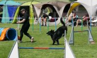 IMG_moosen-10-06-2017-K3Large236
