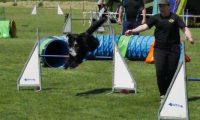 IMG_moosen-10-06-2017-K3Large237