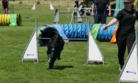 IMG_moosen-10-06-2017-K3Large238