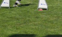 IMG_moosen-10-06-2017-K3Large239