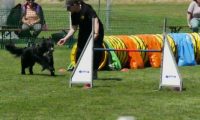 IMG_moosen-10-06-2017-K3Large241